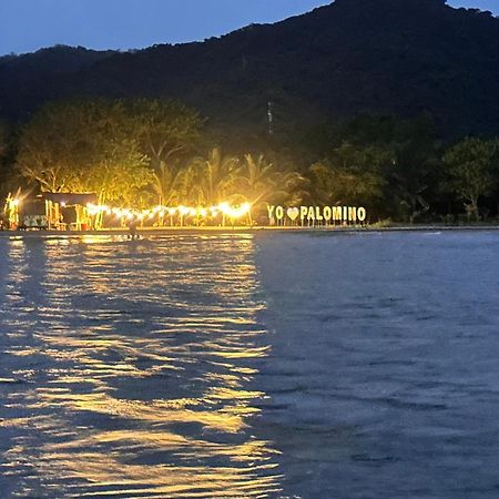 Donama River Palomino Exterior foto