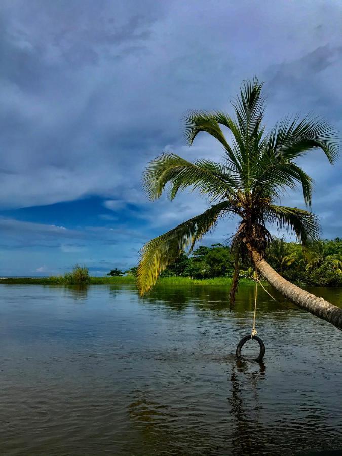 Donama River Palomino Exterior foto